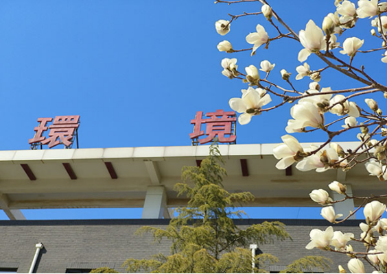 20250320 遇見·春天，解鎖海螺新材的春日浪漫119